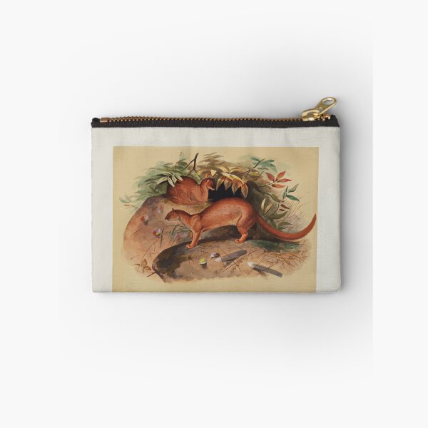 Item preview, Zoological sketches by Joseph Wolf 1861 to 1867 006 The Eyra designed and sold by WetdryvacRB01.