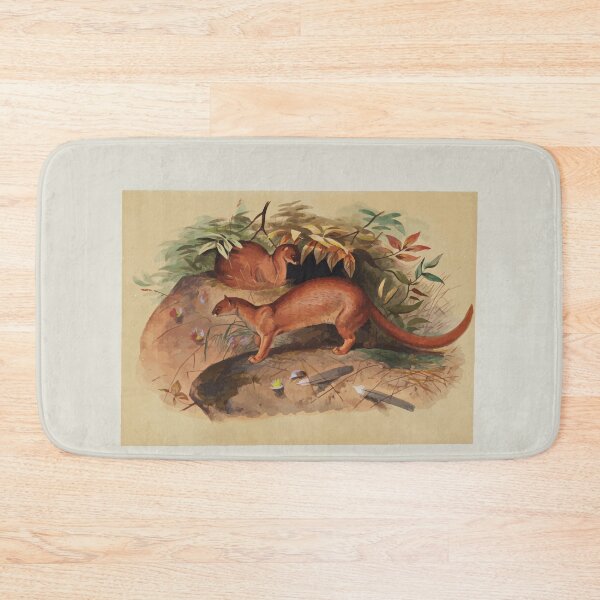 Item preview, Zoological sketches by Joseph Wolf 1861 to 1867 006 The Eyra designed and sold by WetdryvacRB01.