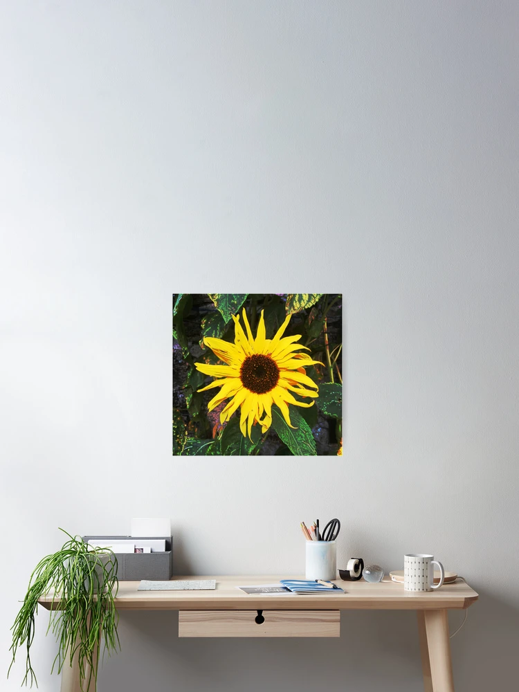 Thumbnail 2 of 3, Poster, Bright and Bold Sunflower designed and sold by DesignsofNote.