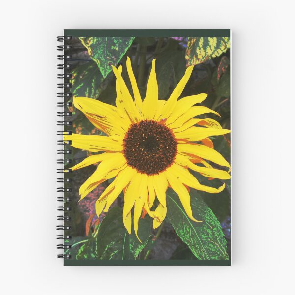 Item preview, Bright and Bold Sunflower  designed and sold by DesignsofNote.