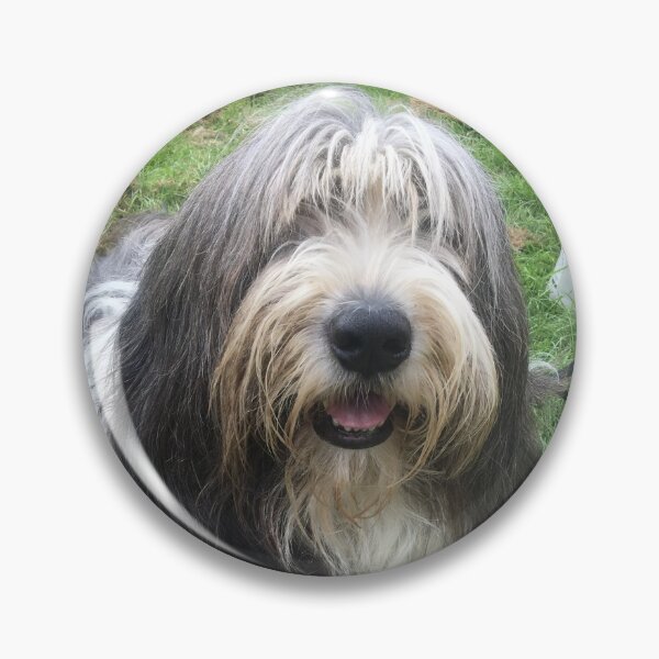 Item preview, Bearded Collie - Happy Chappy Beardie designed and sold by Bucklandcrafts.