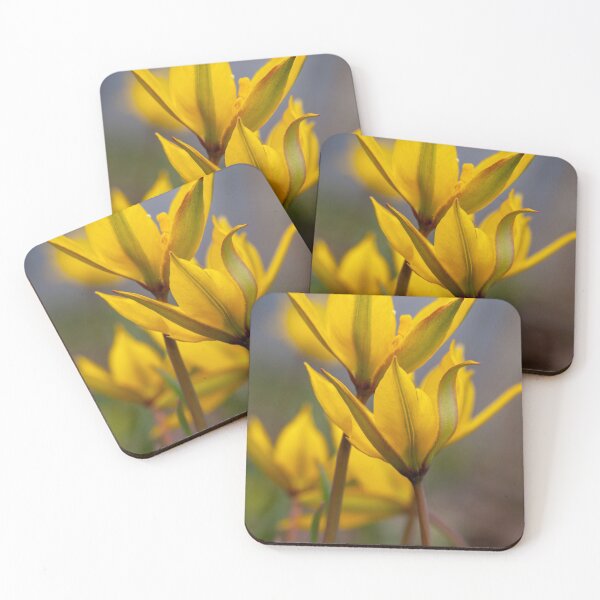 Item preview, Tulipa biebersteiniana designed and sold by valezar.