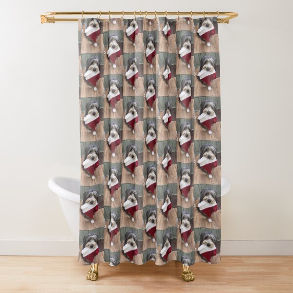 Bearded Collie - Christmas is Coming! Shower Curtain