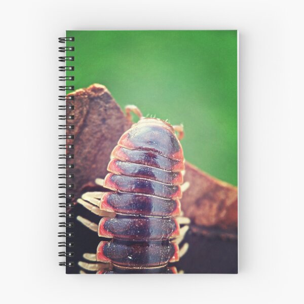Item preview, millipede 2 designed and sold by gatheringwonder.