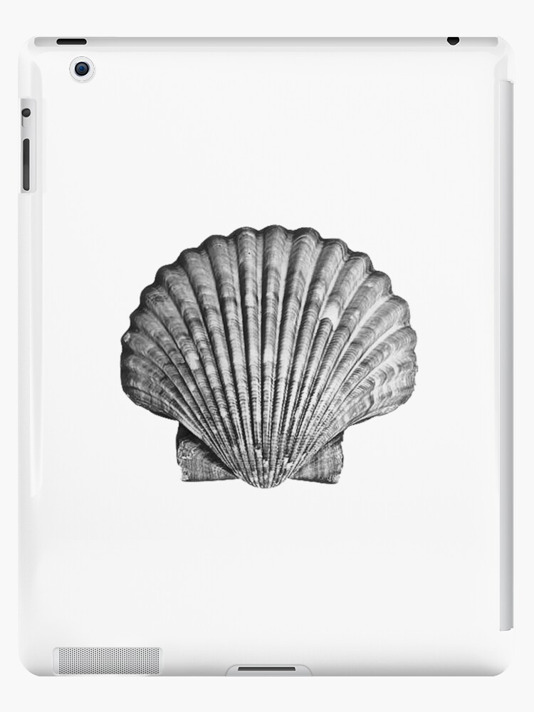 Coquillage noir et blanc Coque et skin adh sive iPad