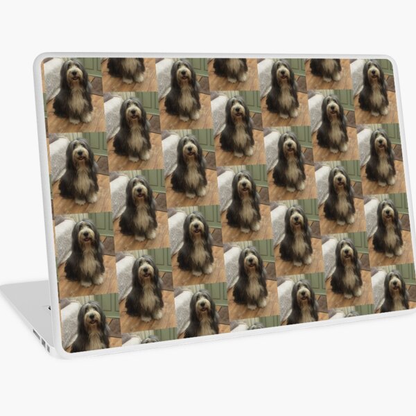 Bearded Collie - Good Boy Beardie Laptop Skin