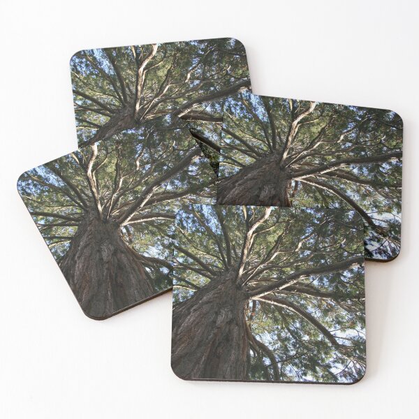 Item preview, The Wellingtonia designed and sold by coffeebean.