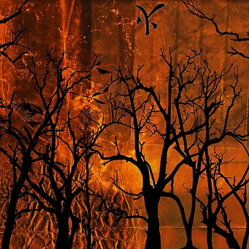 Artwork thumbnail, Fire by Elizabeth Austin-Craig