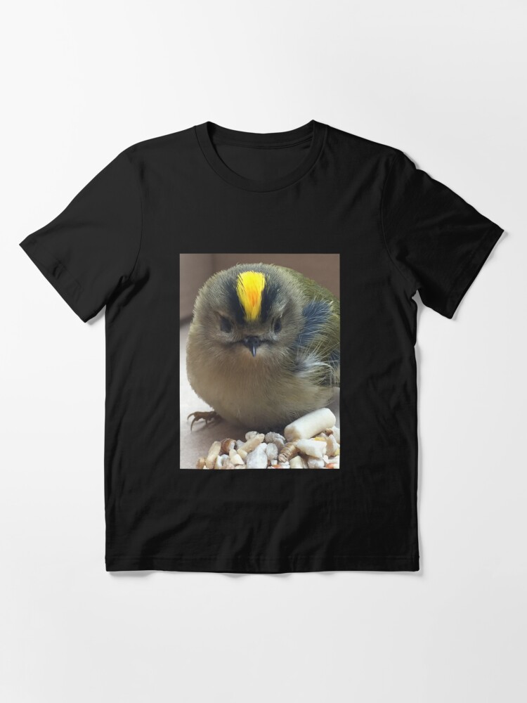 Little King, The goldcrest is called the king of the birds…