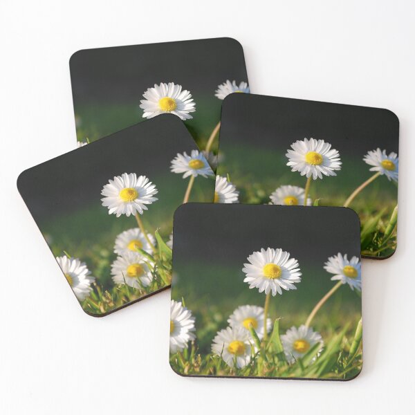 Item preview, Daisies designed and sold by Paul Finnegan.