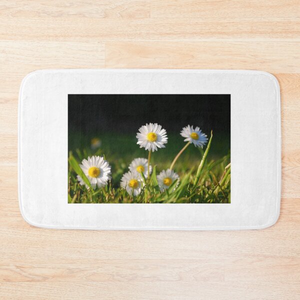 Item preview, Daisies designed and sold by Paul Finnegan.