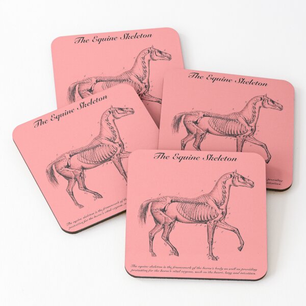 Item preview, Vintage illustration of horse skeleton complete with factual information on pink background designed and sold by AnatomicalStyle.