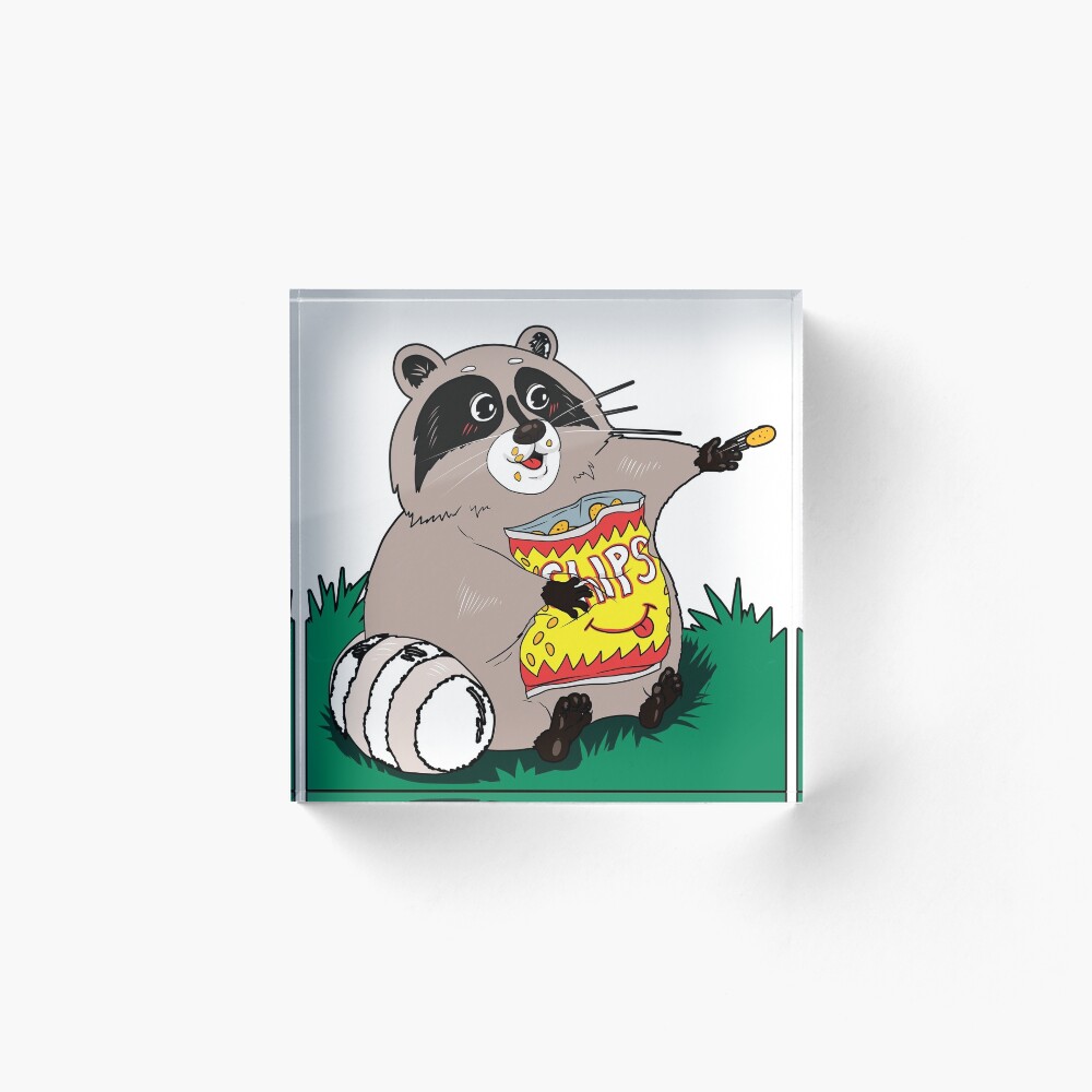Raccoon eating chips. Raccoon eating chips.