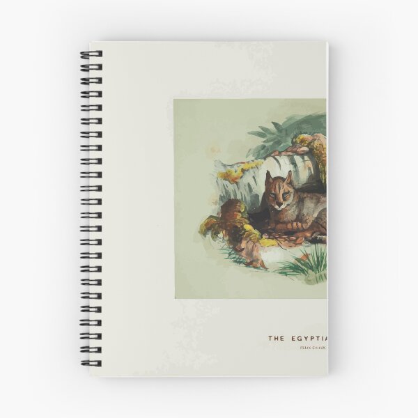 Item preview, Zoological sketches by Joseph Wolf 1861 to 1867 009 The Egyptian Cat designed and sold by WetdryvacRB01.