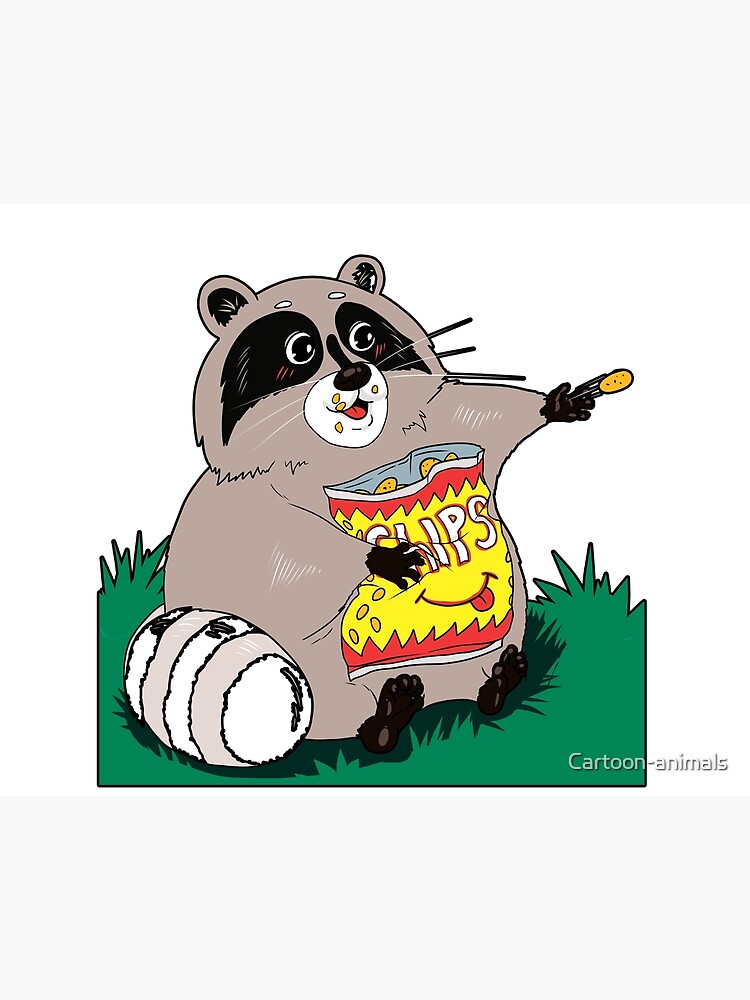 Raccoon eating chips. Raccoon eating chips.
