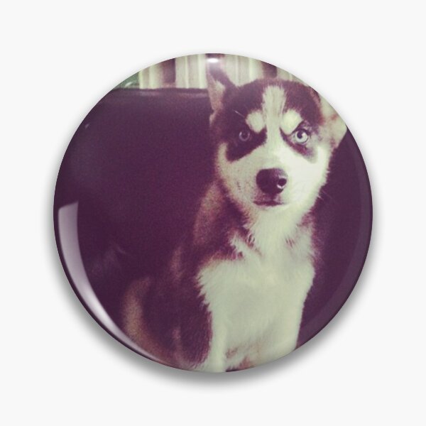 Item preview, A house is not a home without a SIBERIAN HUSKY. designed and sold by findsbyjune374.