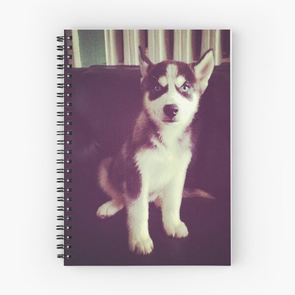 Item preview, A house is not a home without a SIBERIAN HUSKY. designed and sold by findsbyjune374.