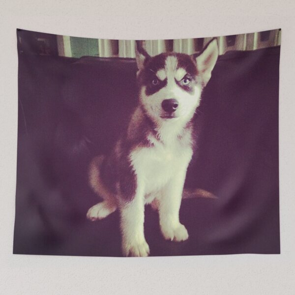 Item preview, A house is not a home without a SIBERIAN HUSKY. designed and sold by findsbyjune374.