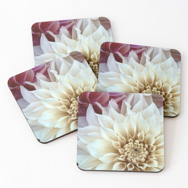 Item preview, Connection #3 - Modern Botanical Photograph designed and sold by ALICIA BOCK.