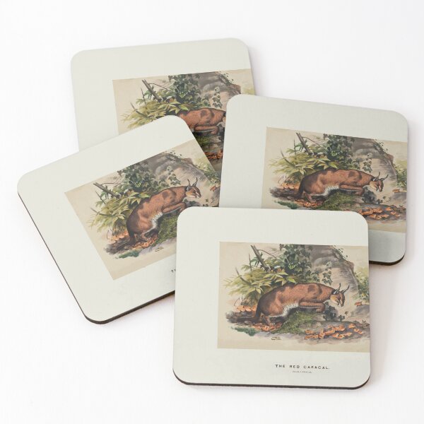 Item preview, Zoological sketches by Joseph Wolf 1861 to 1867 011 The Red Caracal designed and sold by WetdryvacRB01.