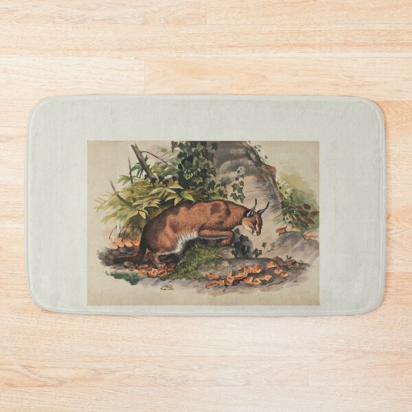 Item preview, Zoological sketches by Joseph Wolf 1861 to 1867 011 The Red Caracal designed and sold by WetdryvacRB01.