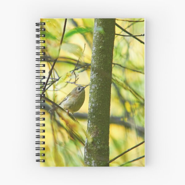 Item preview, Goldcrest with the colors of fall designed and sold by Jouko Lehto Photography.