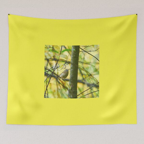 Item preview, Goldcrest with the colors of fall designed and sold by Jouko Lehto Photography.