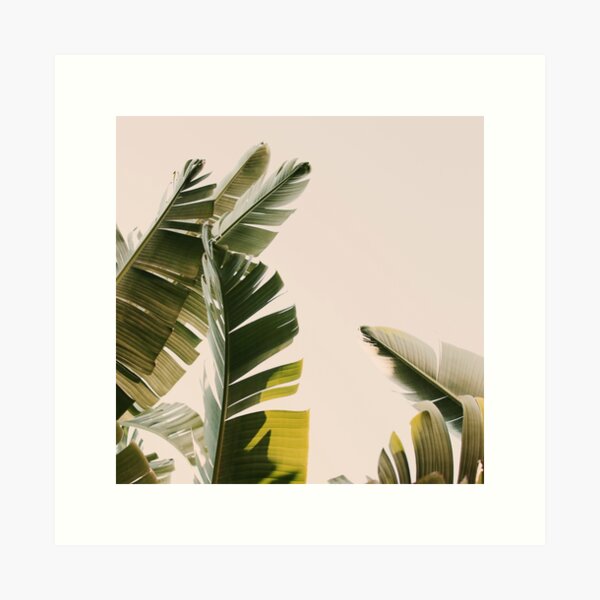 Item preview, Vacation Mode - Modern Tropical Photograph designed and sold by ALICIA BOCK.