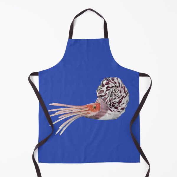 Item preview, Oso ammonoids, cephalopods, ammonoites designed and sold by MIRO3D.