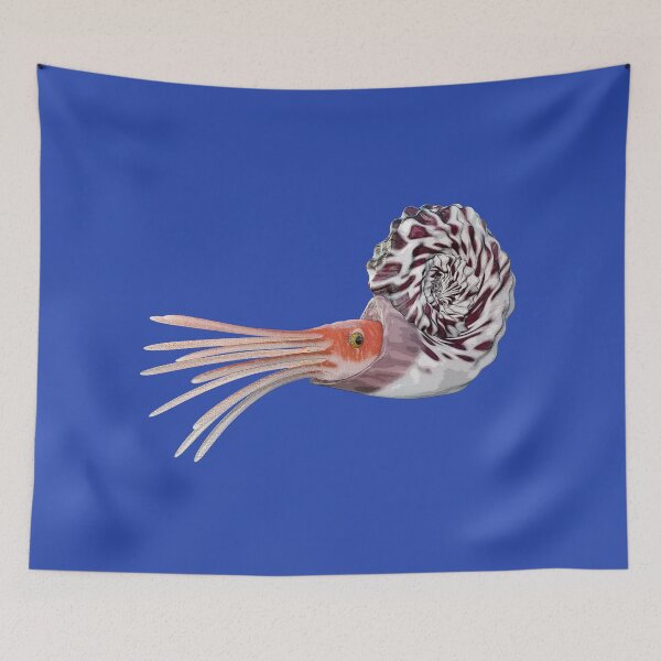Item preview, Oso ammonoids, cephalopods, ammonoites designed and sold by MIRO3D.