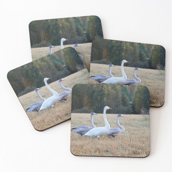 Item preview, The kids and I. Whooper swan designed and sold by Jouko Lehto Photography.