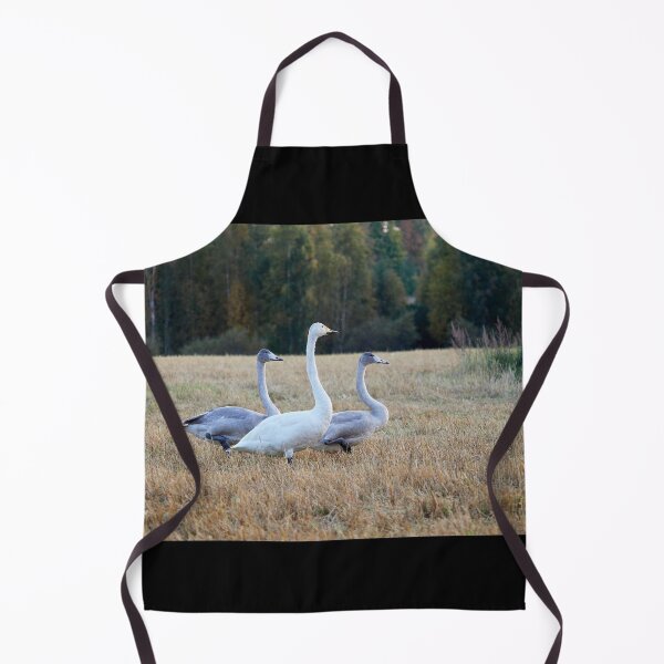Item preview, The kids and I. Whooper swan designed and sold by Jouko Lehto Photography.