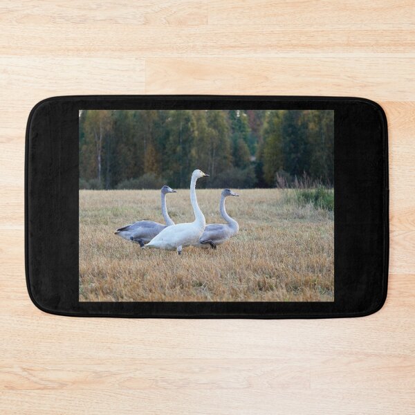 Item preview, The kids and I. Whooper swan designed and sold by Jouko Lehto Photography.