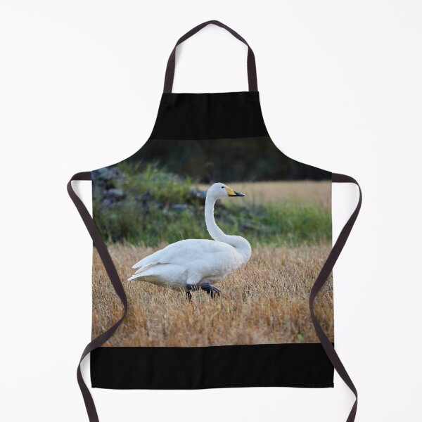 Item preview, It's so quiet this evening. Whooper swan designed and sold by Jouko Lehto Photography.