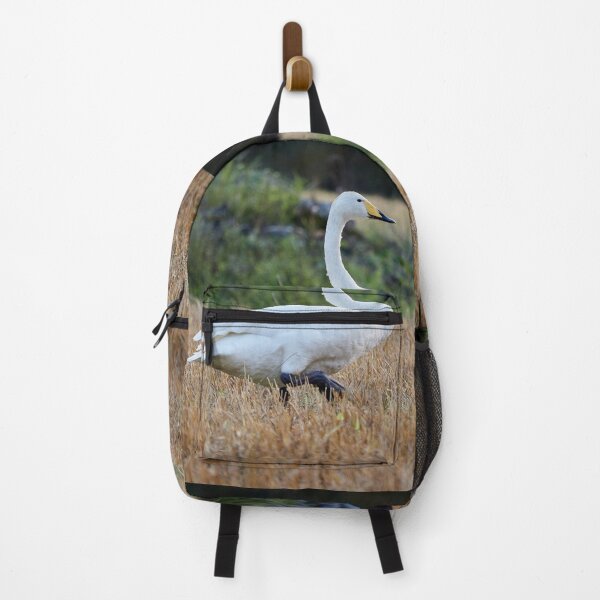 Item preview, It's so quiet this evening. Whooper swan designed and sold by Jouko Lehto Photography.