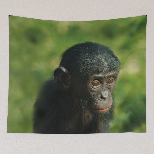 Item preview, Baby Bonobo designed and sold by rawshutterbug.
