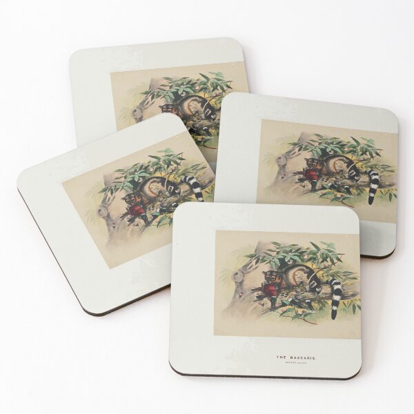 Item preview, Zoological sketches by Joseph Wolf 1861 to 1867 014 The Bassaris designed and sold by WetdryvacRB01.