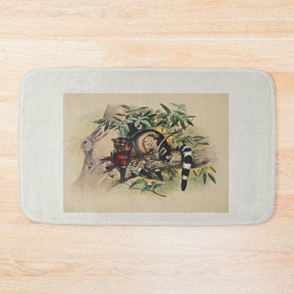 Item preview, Zoological sketches by Joseph Wolf 1861 to 1867 014 The Bassaris designed and sold by WetdryvacRB01.