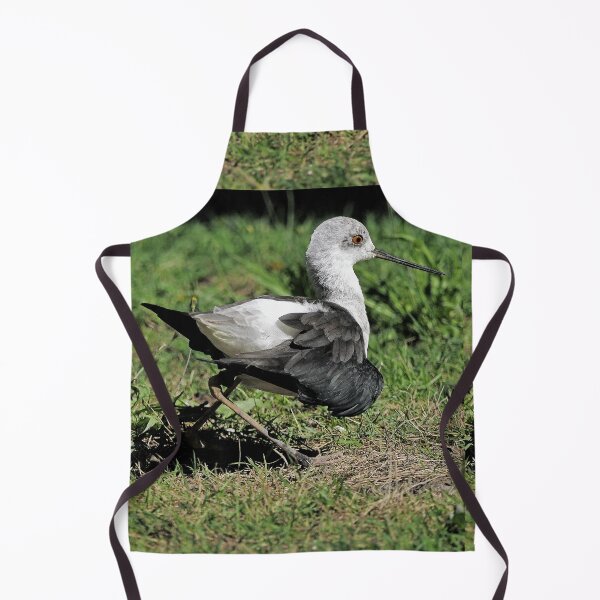 Item preview, r2450/ 4 parc-ornithologique-de-st-hilaire-la-palud- échasse blanche- 2020 par Okaio Créations - Olavia&Olao designed and sold by o.okaïo.