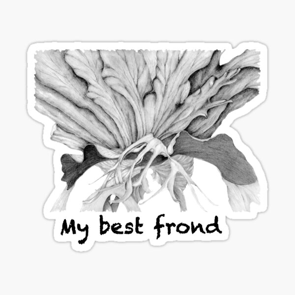 Fern Series- Staghorn- my best frond Sticker