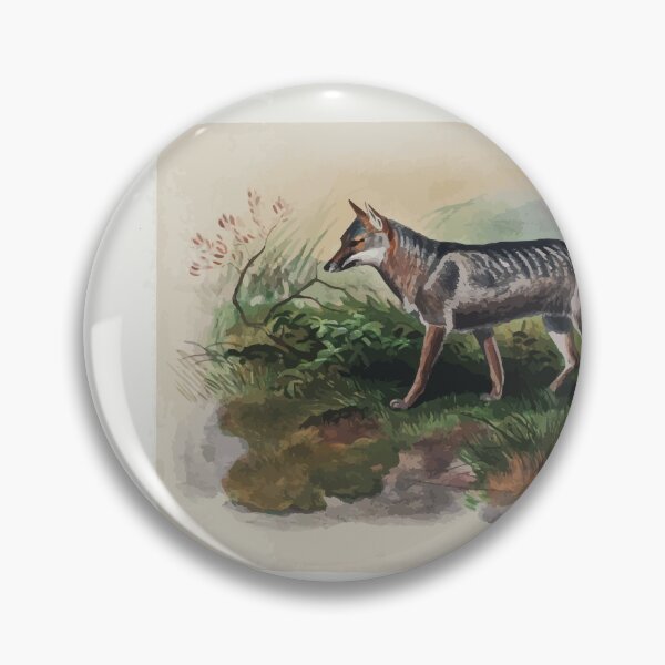 Item preview, Zoological sketches by Joseph Wolf 1861 to 1867 016 Azara's Fox designed and sold by WetdryvacRB01.