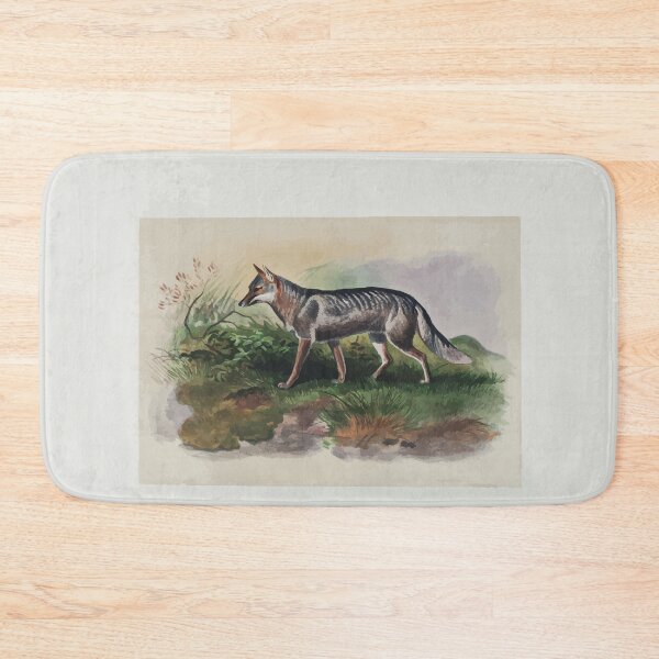 Item preview, Zoological sketches by Joseph Wolf 1861 to 1867 016 Azara's Fox designed and sold by WetdryvacRB01.