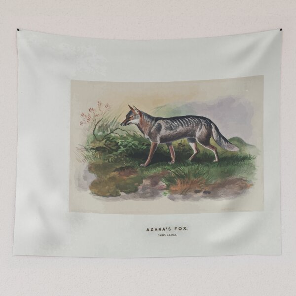 Item preview, Zoological sketches by Joseph Wolf 1861 to 1867 016 Azara's Fox designed and sold by WetdryvacRB01.