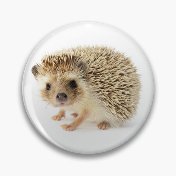 Item preview, Cute Baby Hedgehog designed and sold by cgroenewald.