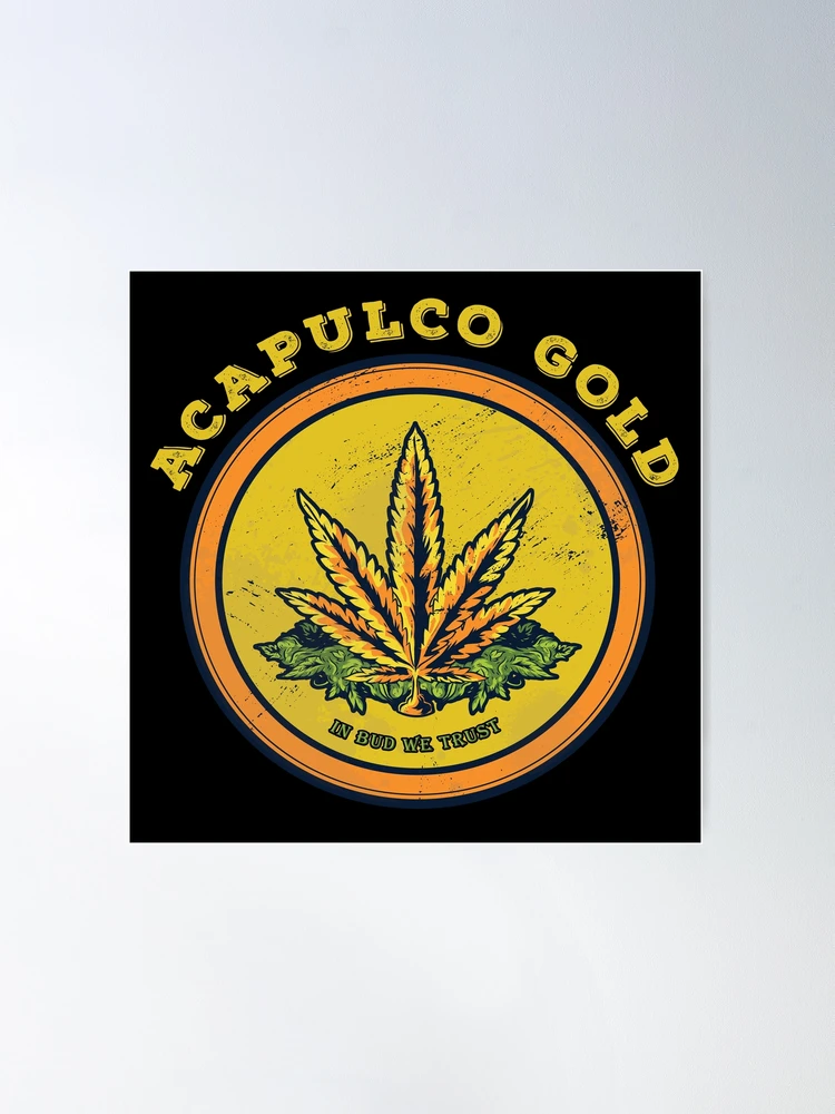 Acapulco Gold semi – Semi cannabis