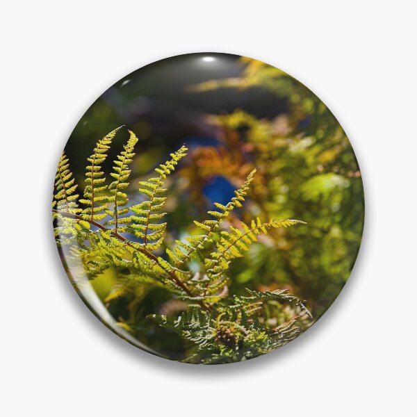 Item preview, Ferns shining in the sunlight designed and sold by Audun Dammen.