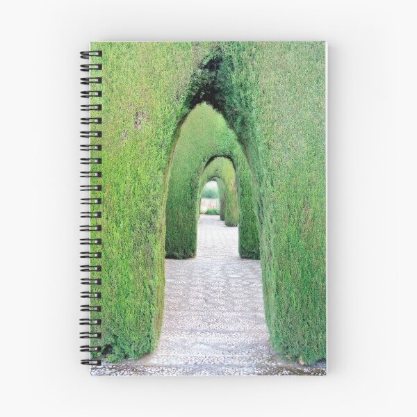 Item preview, Alhambra Granada decorative ornamental garden with bush arches designed and sold by Flavio Vieri.