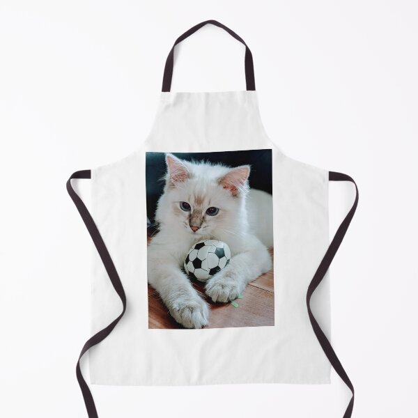 Item preview, Ragdoll kitten Saoirse designed and sold by Fluffycat2020.