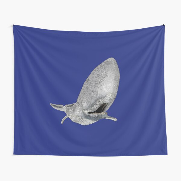 Pottwal, Wal, Walfisch, Zahnwal Wandbehang