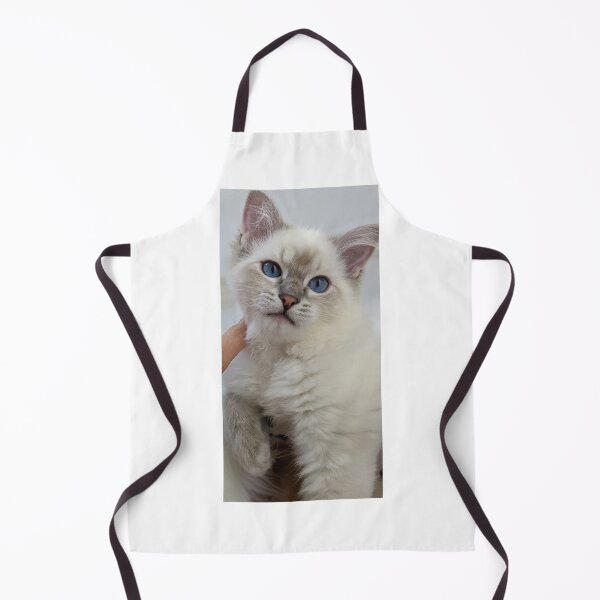 Item preview, Ragdoll kitten Saoirse designed and sold by Fluffycat2020.